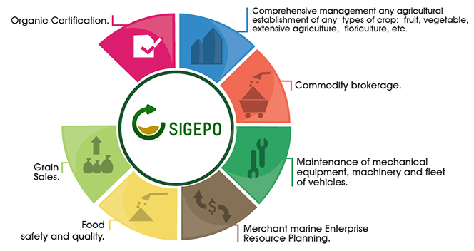 grafico-sigepo-eng